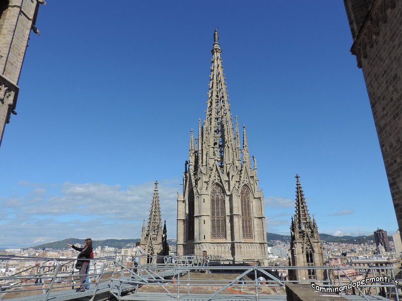 243 Cattedrale Gotica di Barcellona.JPG -           